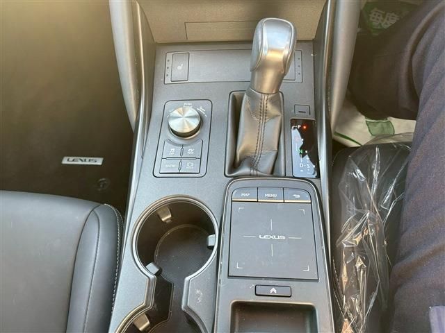 LEXUS IS300h