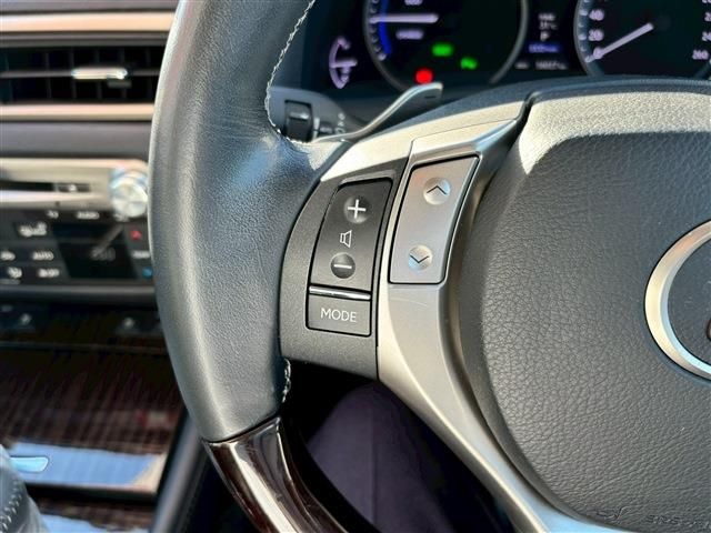 LEXUS GS300h