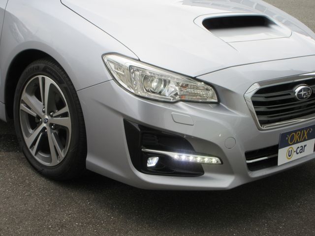 LEVORG