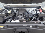LANDCRUISER 250