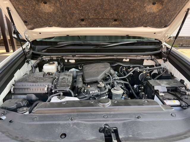 LANDCRUISER PRADO
