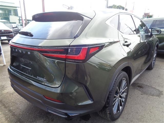 LEXUS NX350h