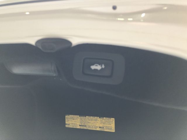 LEXUS LS600h