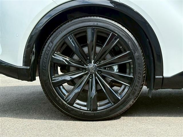 CROWN SPORT