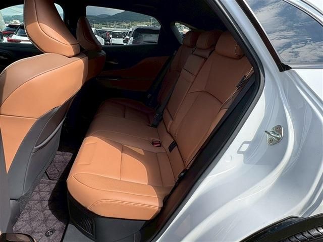CROWN SPORT
