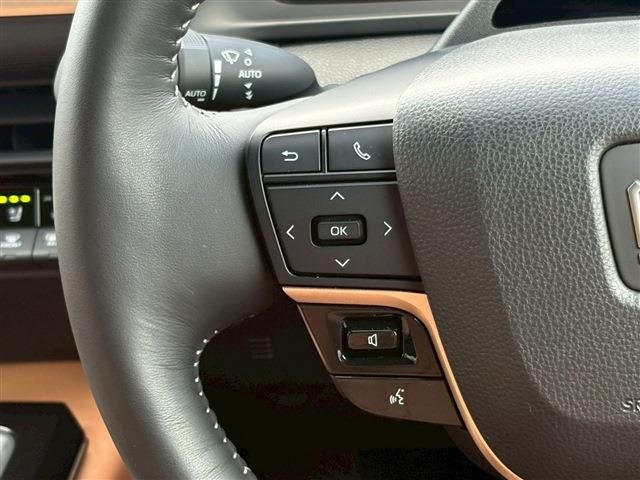 CROWN SPORT