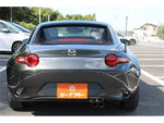 ROADSTER RF