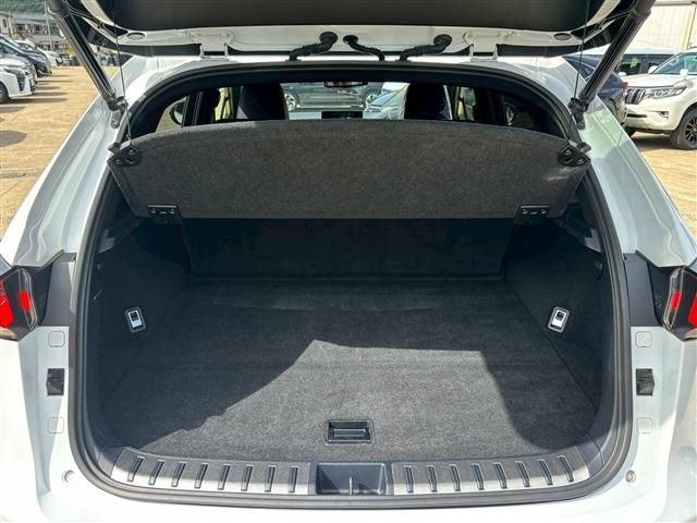 LEXUS NX300h