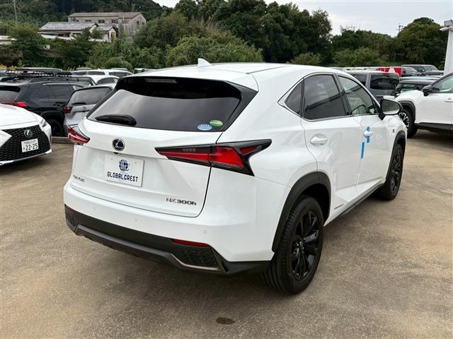 LEXUS NX300h