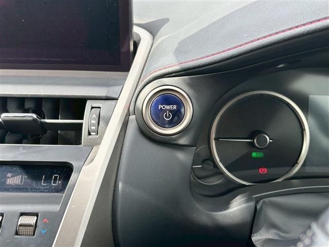 LEXUS NX300h
