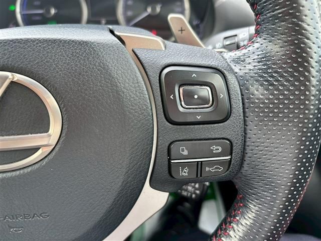LEXUS NX300h