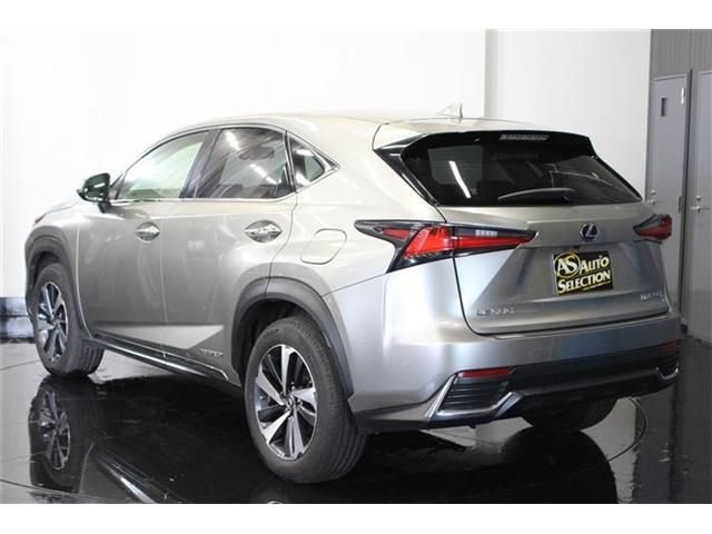 LEXUS NX300h AWD
