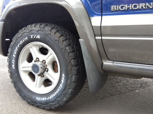 BIGHORN wagon