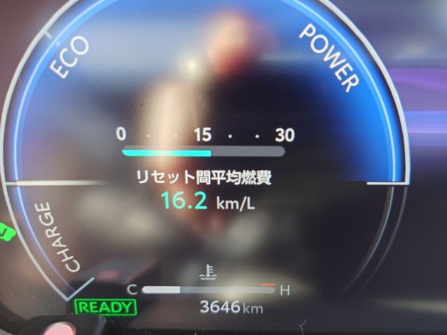 CROWN SPORT