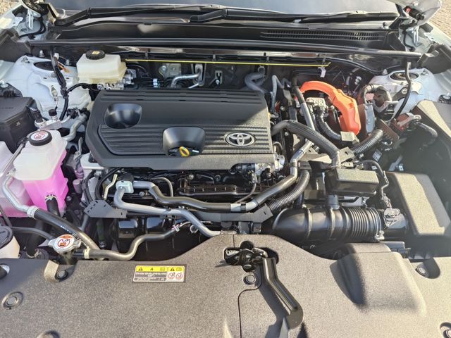 CROWN SPORT