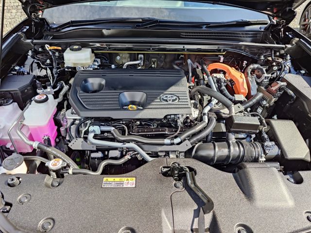 CROWN SPORT