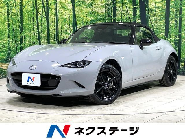 ROADSTER