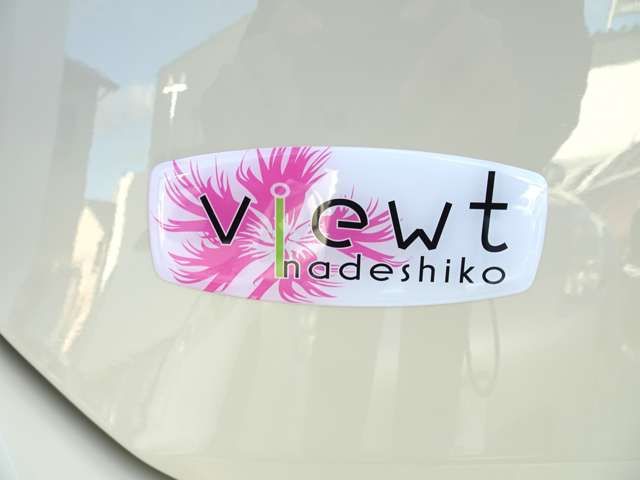 VIEWT Hatchback
