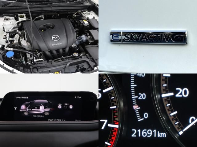 CX-30