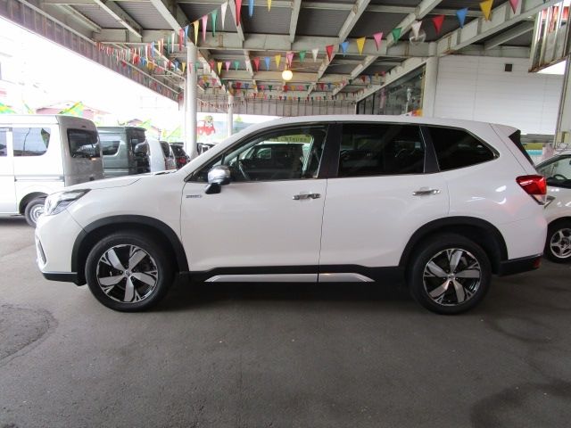 FORESTER
