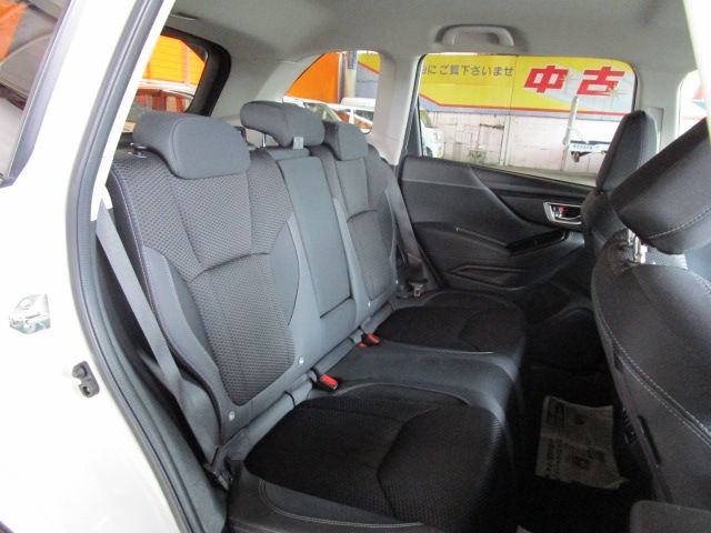 FORESTER