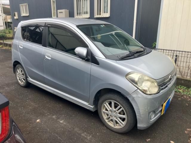PLEO CUSTOM
