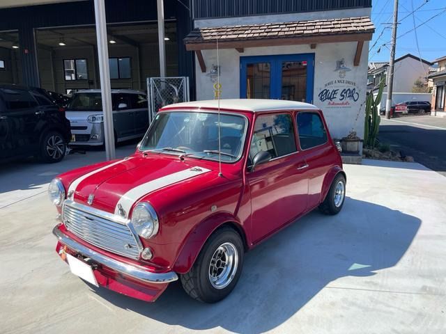 ROVER MINI