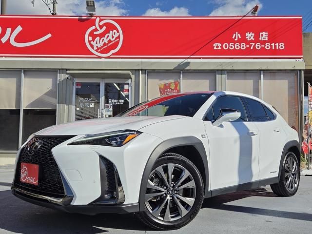 LEXUS UX250h