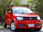 IGNIS