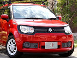 IGNIS