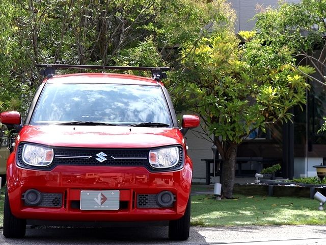 IGNIS