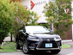 LEXUS NX300