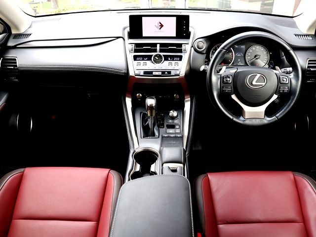 LEXUS NX300