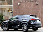 LEXUS NX300