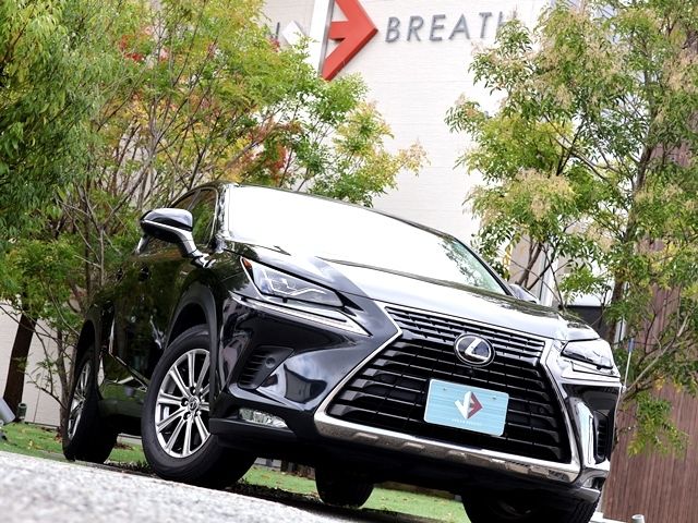 LEXUS NX300