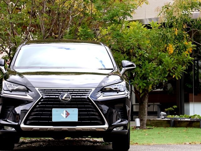 LEXUS NX300