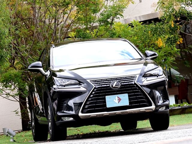 LEXUS NX300