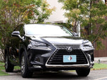 LEXUS NX300