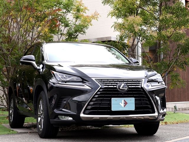 LEXUS NX300