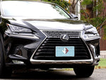 LEXUS NX300