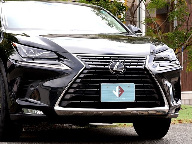 LEXUS NX300