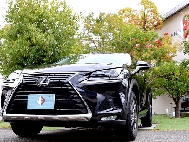 LEXUS NX300