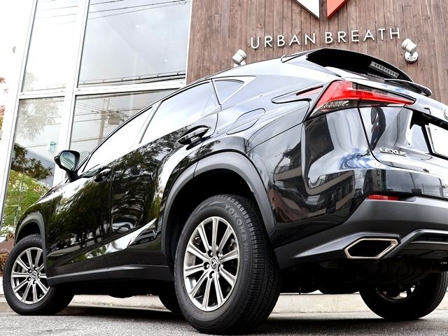 LEXUS NX300