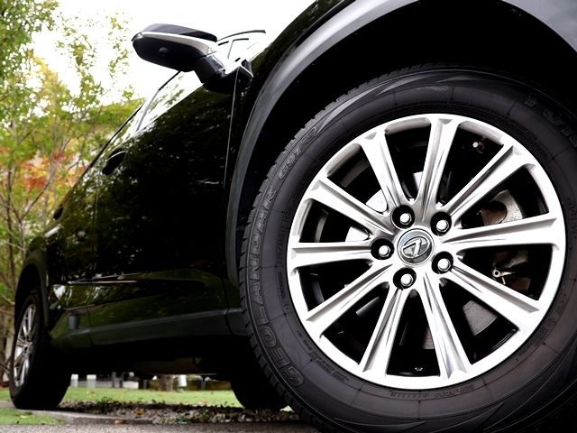 LEXUS NX300