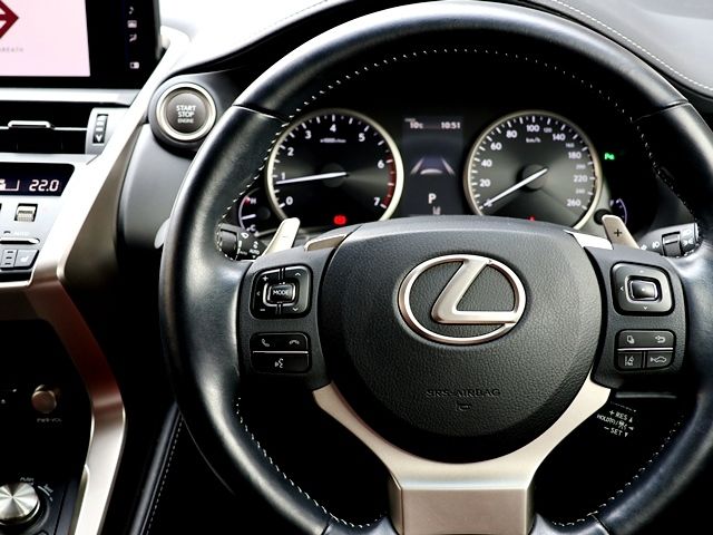LEXUS NX300