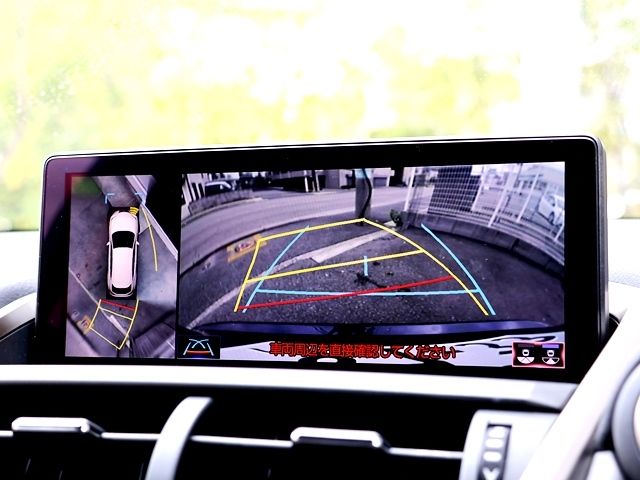 LEXUS NX300