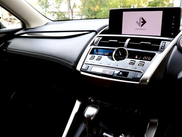 LEXUS NX300