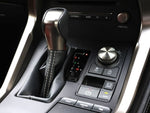 LEXUS NX300
