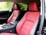 LEXUS NX300