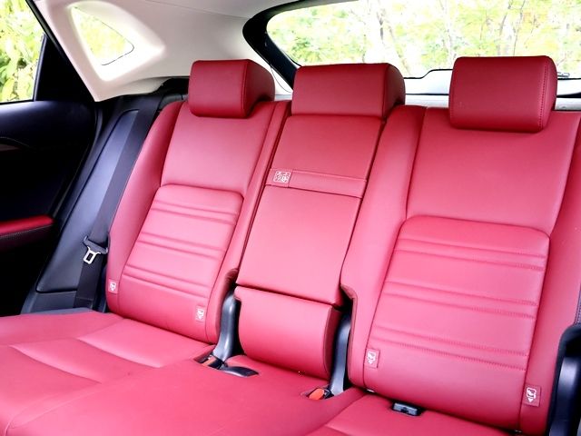 LEXUS NX300